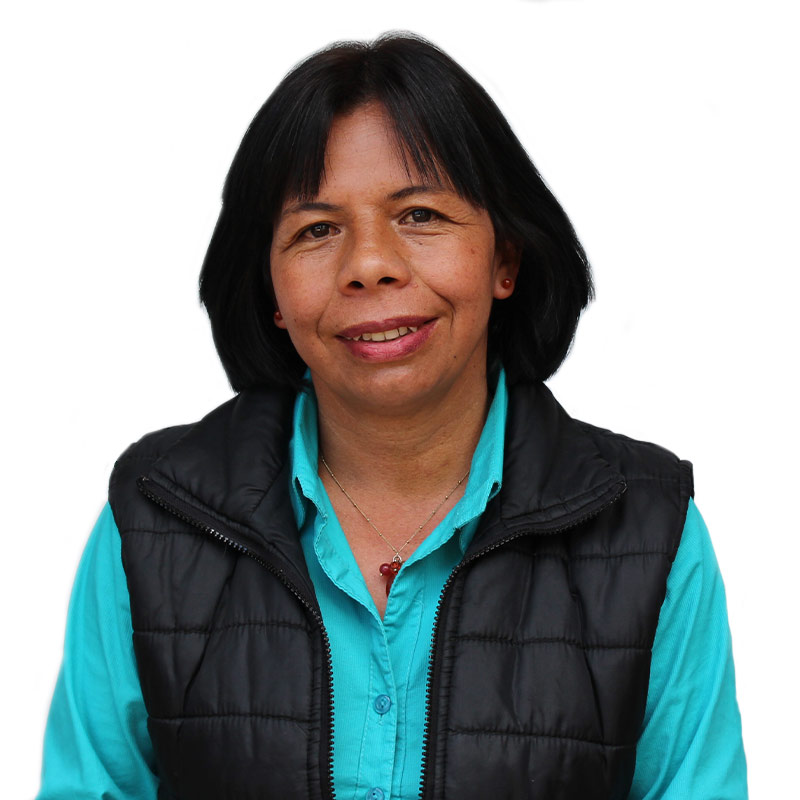 profe-helena-silva