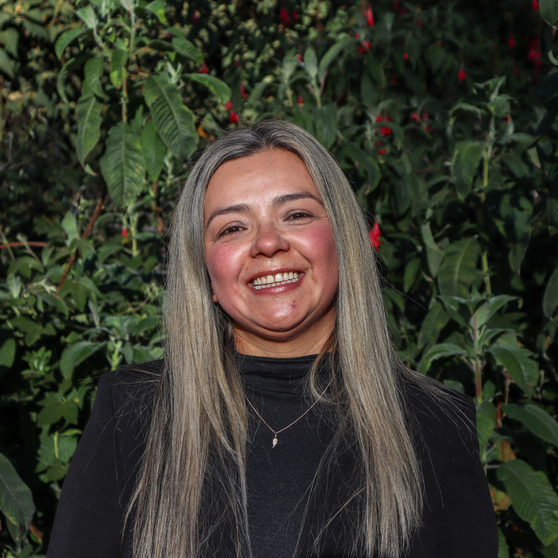 Personal_ecosistema_800x80011