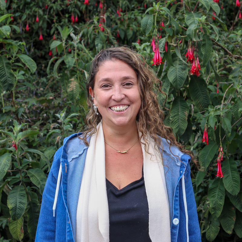 Personal_ecosistema_800x80019