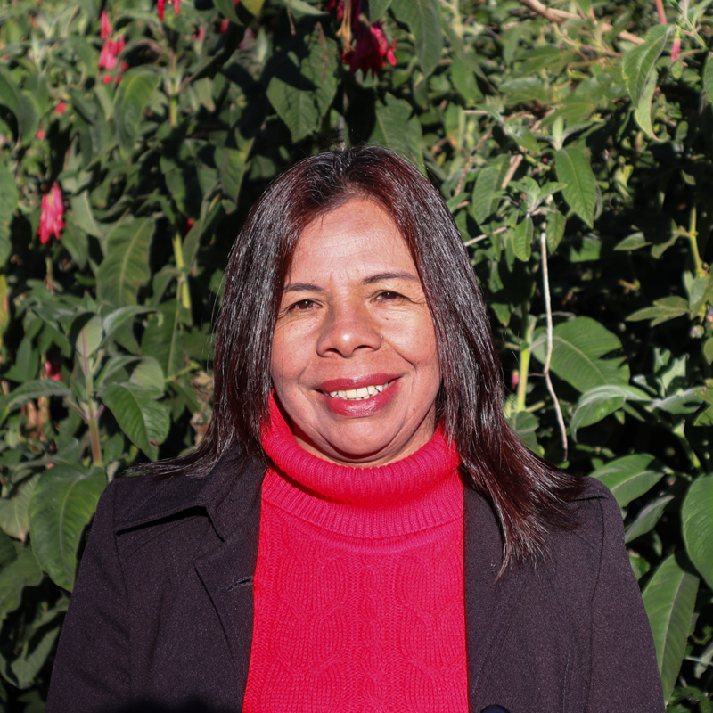 Personal_ecosistema_800x8002