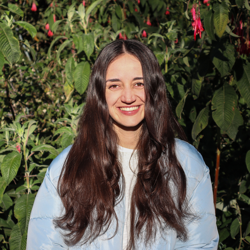 Personal_ecosistema_800x8003