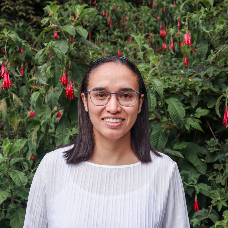 Personal_ecosistema_800x80042