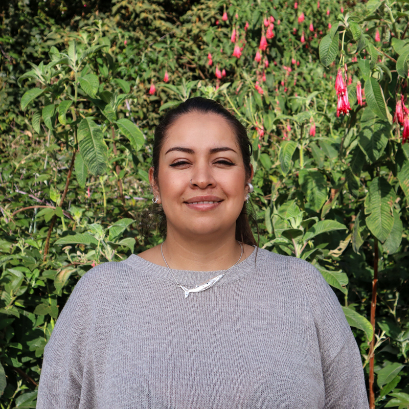 Personal_ecosistema_800x80052