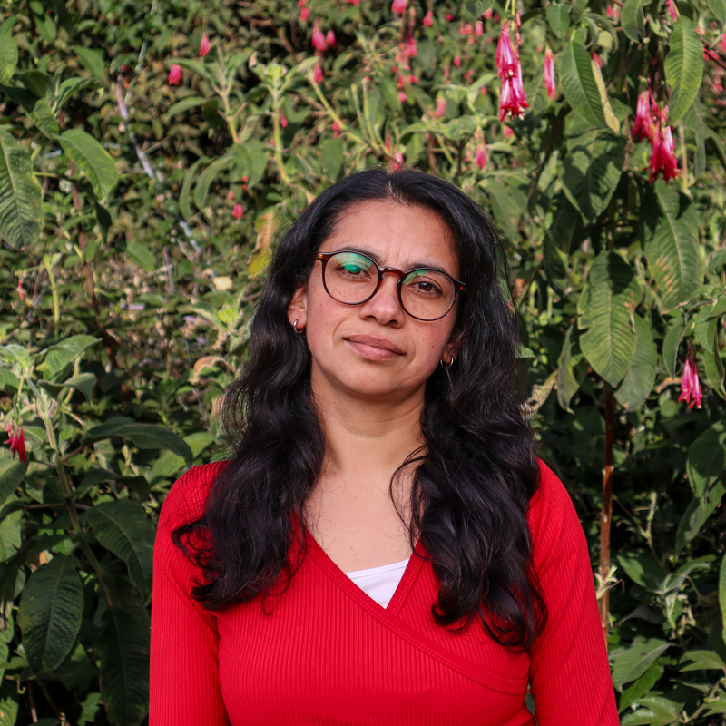 Personal_ecosistema_800x80053