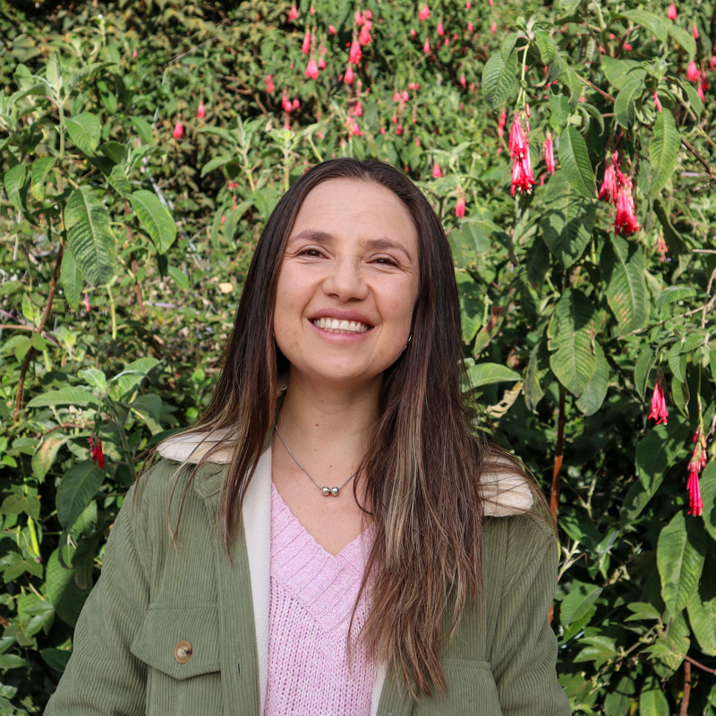 Personal_ecosistema_800x80056