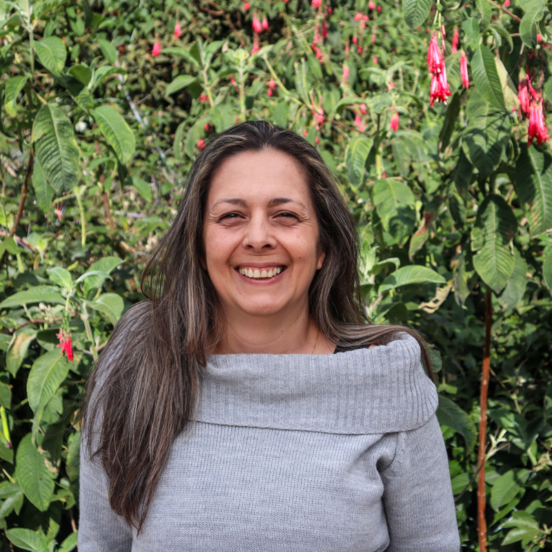 Personal_ecosistema_800x80062