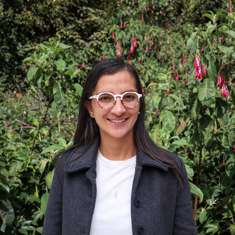 Personal_ecosistema_800x80068